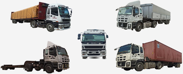 Our vehicles are 100% working and can provide better transport execution.